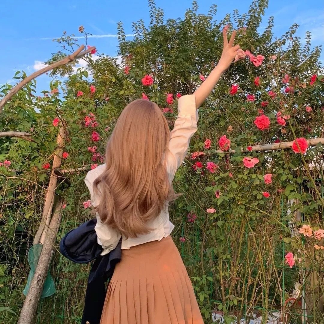贪婪2019