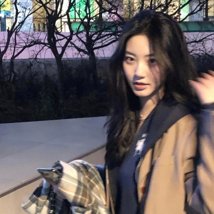 情挑六月花